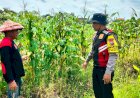 Anggota-Polsek-Balongbendo-Tinjau-Lahan-P2B-Warga-Desa-Jabaran