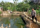 Bhabinkamtibmas-Desa-Kali-Pecabean-Polsek-Candi-Tinjau-Budidaya-Ikan-Lele-Wujudkan-Ketahanan-Pangan