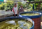 Bhabinkamtibmas-Desa-Trosobo-Polsek-Taman-Dukung-Ketahanan-Pangan-Bergizi-Lewat-Pembesaran-Ikan-Lele