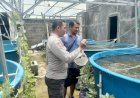 Polri-Apresiasi-Budidaya-Ikan-di-Lahan-Rumah-Warga
