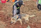Polri-Kerahkan-Anjing-Pelacak-dalam-Pencarian-Korban-Longsor-Cilacap