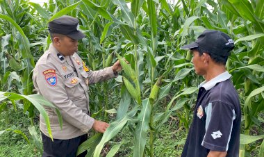 Bhabinkamtibmas-Desa-Bakung-Temenggungan-Masifkan-Program-Ketahanan-Pangan-Polresta-Sidoarjo