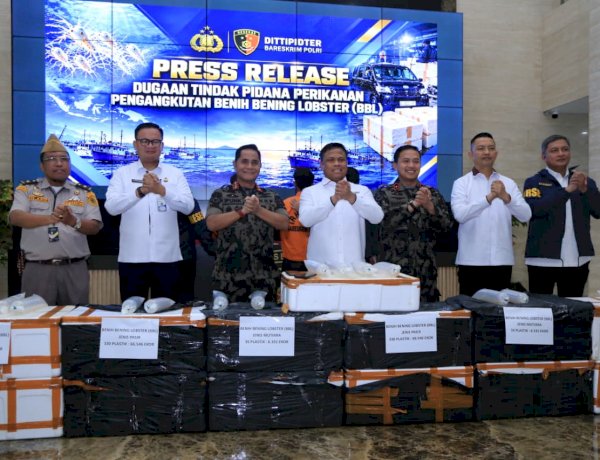 Polri Ungkap Jaringan Penyelundupan Baby Lobster Lintas Negara, Dua Pelaku Ditangkap