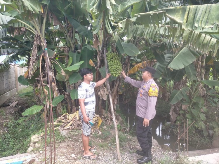 Kapolsek Sukodono Dampingi Warga Kelola Lahan P2B di Desa Pekarungan