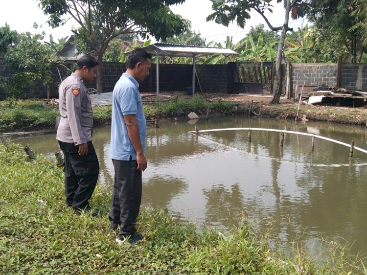 Bhabinkamtibmas Apresiasi Warga Junwangi Budidayakan Ikan Nila untuk Dukung Ketahanan Pangan