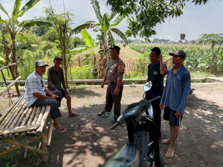 Polisi Cinta Petani, Bhabinkamtibmas Kedungsukodani Polsek Balongbendo Ngobrol Gayeng Ketahanan Pangan